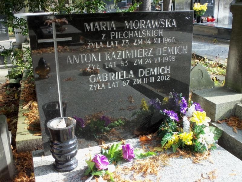 Zdjęcie grobu Antoni Kazimierz Demich (2)
