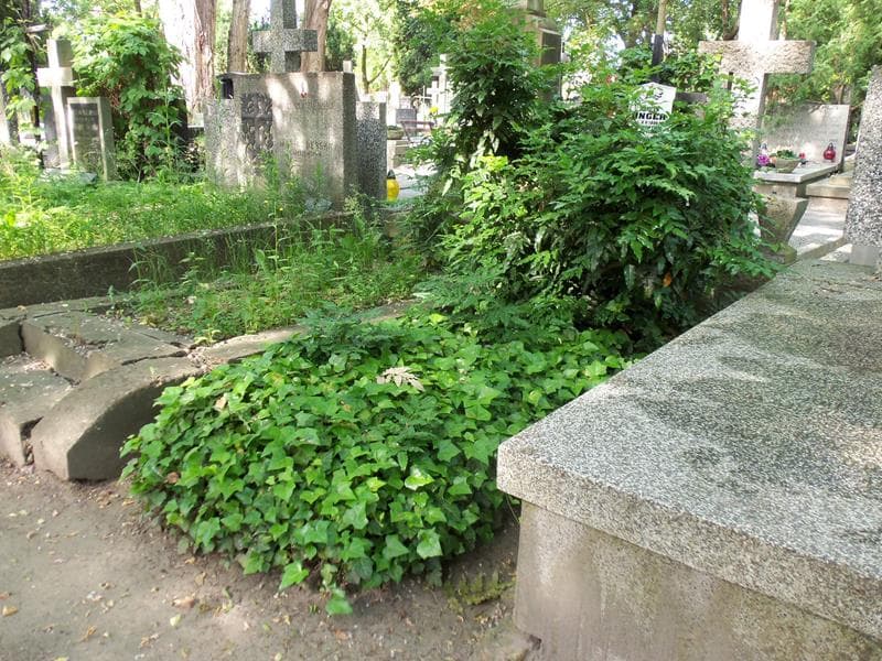Zdjęcie grobu Henryk Unger (1)