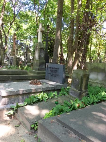 Zdjęcie grobu: Józef Lesiewski
