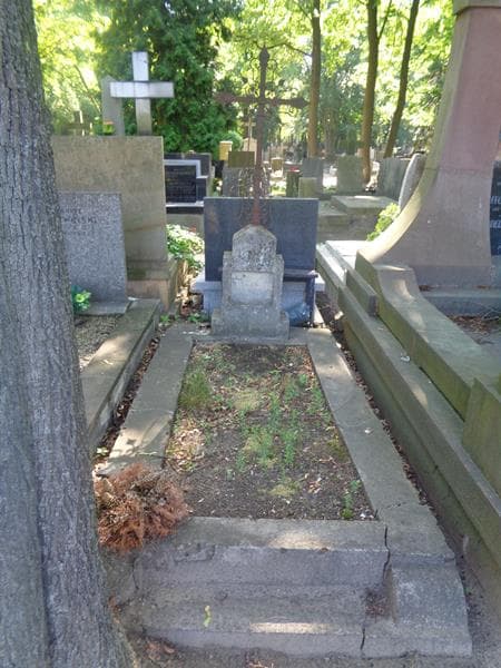 Zdjęcie grobu Józef Tołpyho (1)