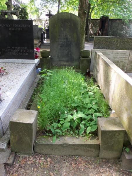 Zdjęcie grobu: Feliks Frenkiel