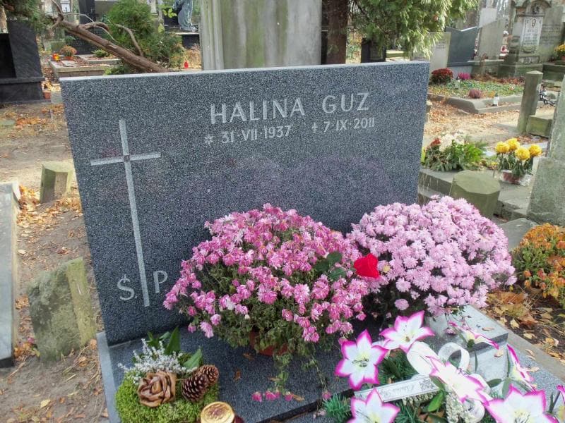Zdjęcie grobu Halina Guz (2)
