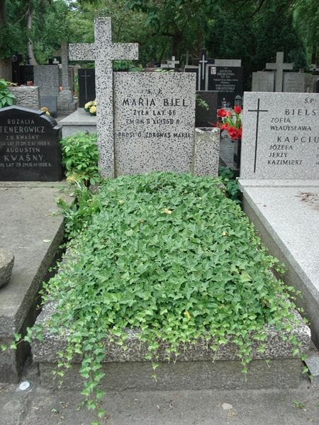 Zdjęcie grobu: Maria Biel