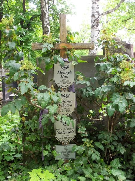 Zdjęcie grobu Henryk Bąk (2)