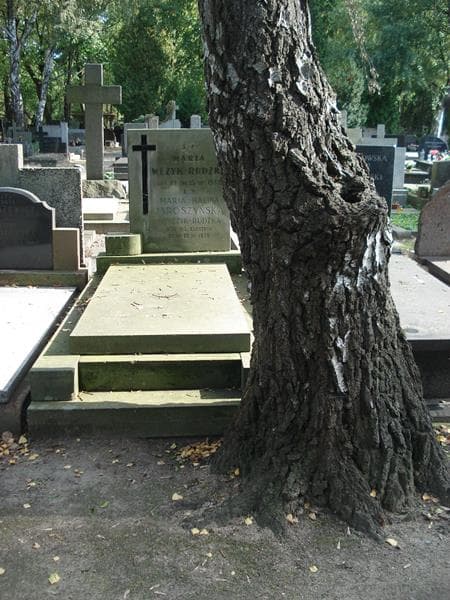 Zdjęcie grobu: Maria Halina Jaroszyńska