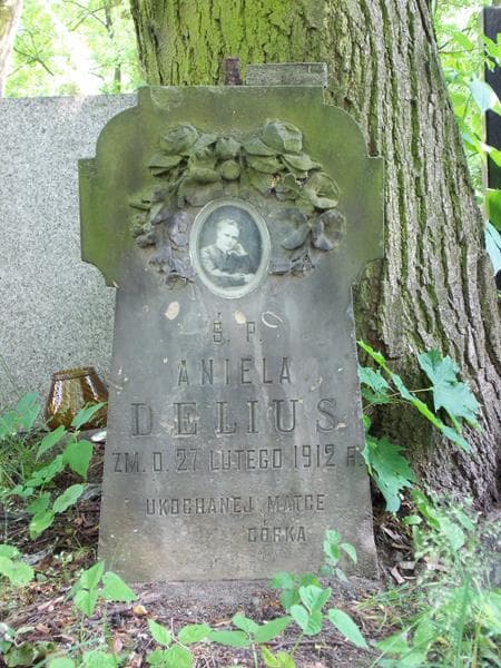 Zdjęcie grobu Amelia Delius (2)