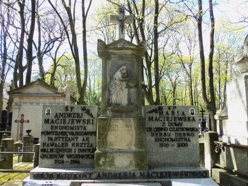 Zdjęcie grobu Andrzej Maciejewski (2)