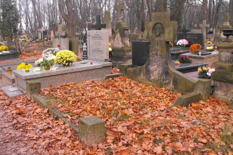 Zdjęcie grobu Józefa Krajewska (1)
