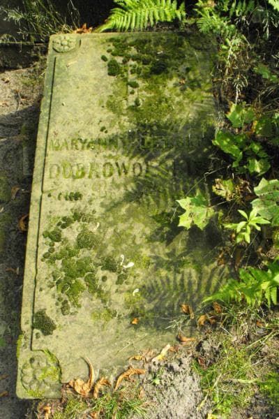 Zdjęcie grobu Maryanna Dobrowolska (2)