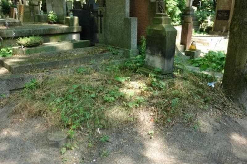 Zdjęcie grobu Zofia Szklennik (1)