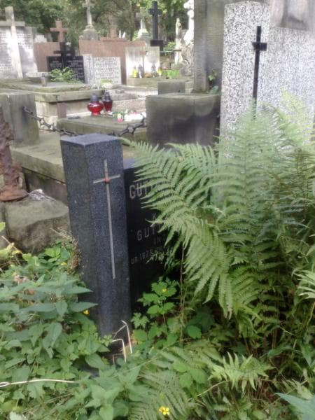 Zdjęcie grobu Klemens Guttakowski (1)