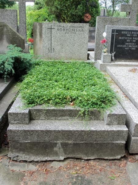 Zdjęcie grobu Zofia Kobylińska (1)