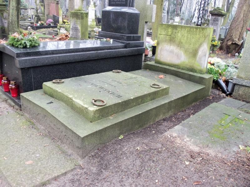 Zdjęcie grobu Janina Domaniewska (1)