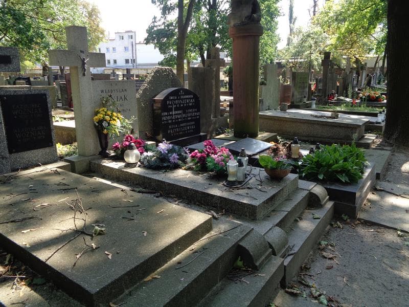 Zdjęcie grobu: Władysław Janiak