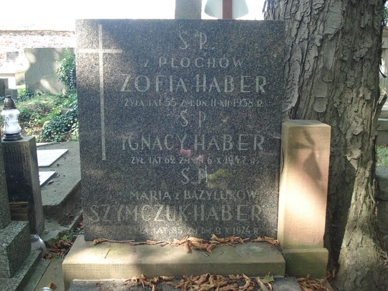 Zdjęcie grobu Zofia Haber (2)