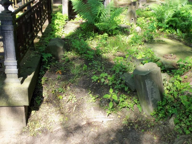 Zdjęcie grobu: Pole Grobowe