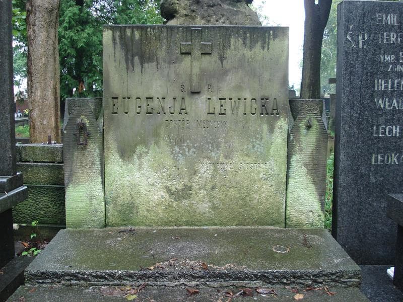 Zdjęcie grobu Eugenia Lewicka (2)