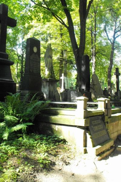 Zdjęcie grobu Dramińscy (1)
