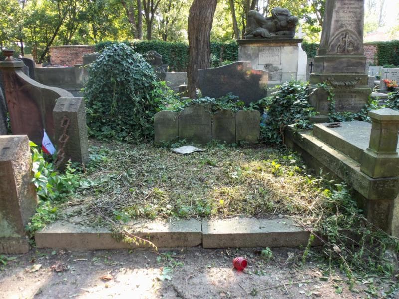 Zdjęcie grobu Józef Fiszer (1)