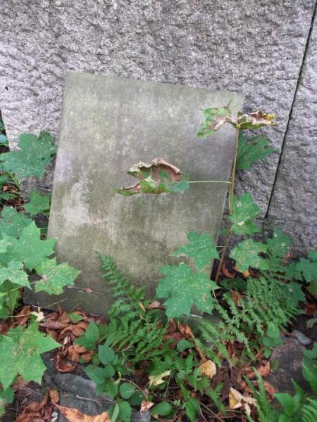 Zdjęcie grobu Rozalja Grzymała (1)