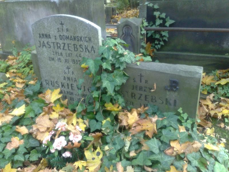 Zdjęcie grobu Anna Jastrzębska (1)