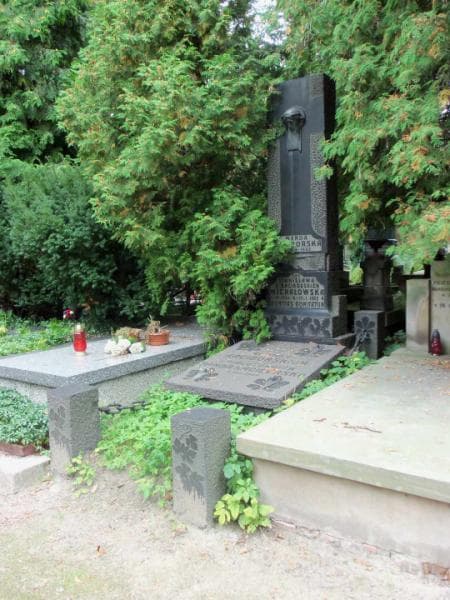 Zdjęcie grobu Stanisława Michałowska (1)