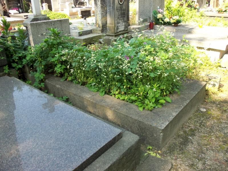 Zdjęcie grobu Antonina Makowiecka (1)