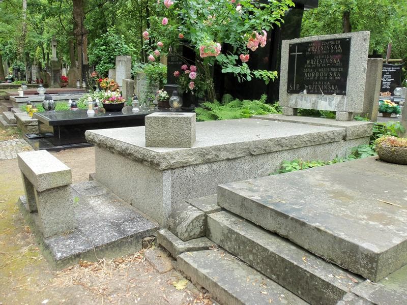 Zdjęcie grobu Anna Wrzesińska (1)