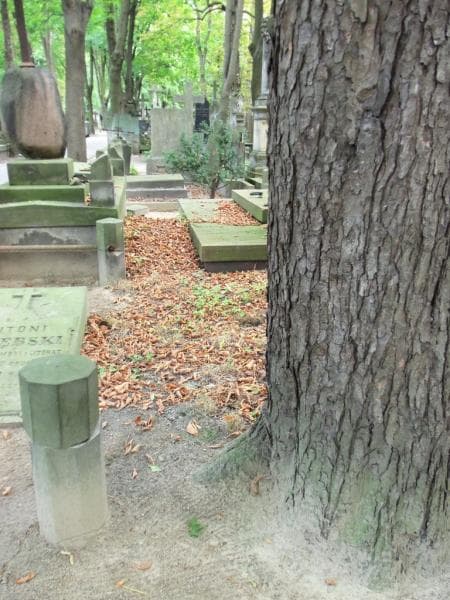 Zdjęcie grobu Pole Grobowe (1)