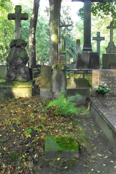 Zdjęcie grobu: Marja Kołpakowa
