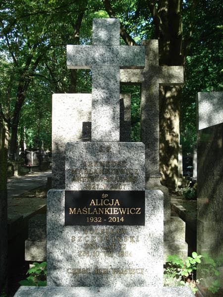 Zdjęcie grobu Bolesław Szczeciński (2)