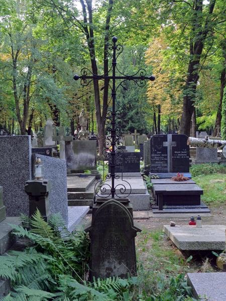 Zdjęcie grobu Aleksander Albrecht (1)