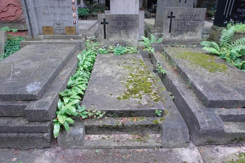 Zdjęcie grobu Emilia Czerwińska (1)