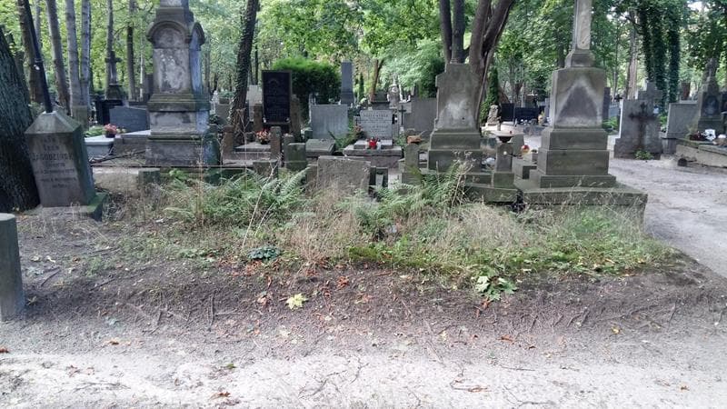 Zdjęcie grobu: Pole Grobowe