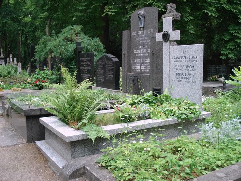 Zdjęcie grobu: Franciszek Liana