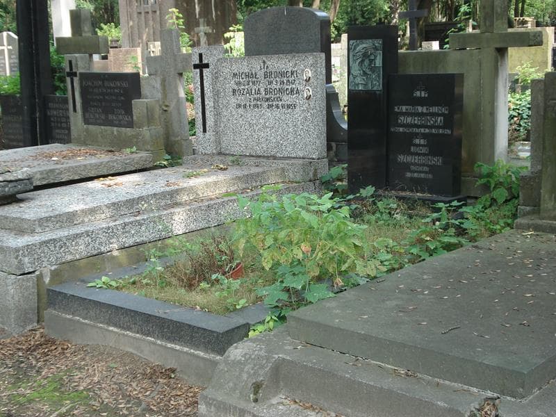 Zdjęcie grobu Ewa Maria Szczerbińska (1)
