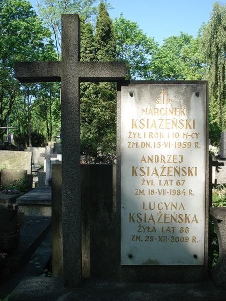 Zdjęcie grobu Andrzej Książeński (2)