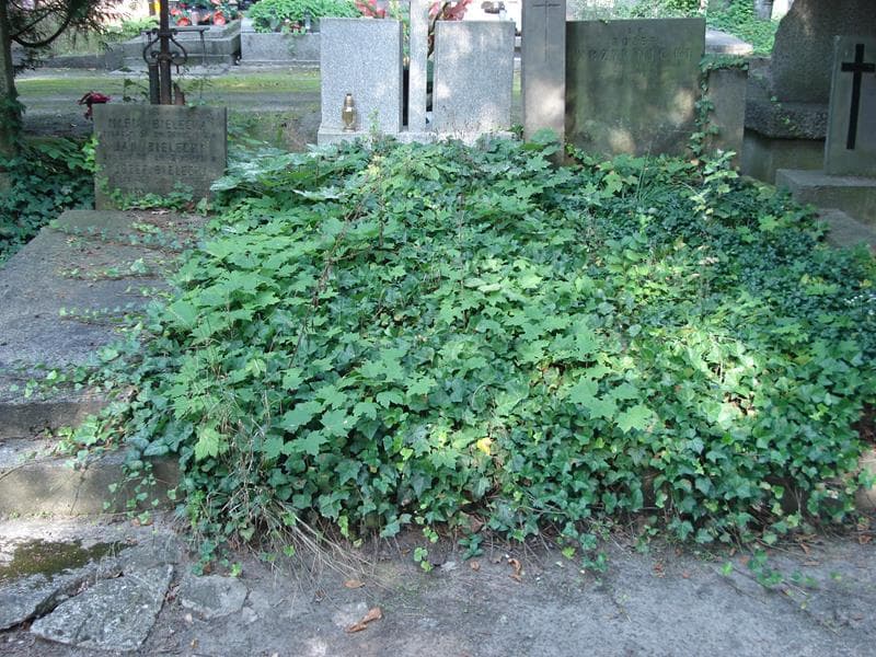 Zdjęcie grobu: Pole Grobowe