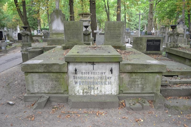 Zdjęcie grobu Janeczka Dąmbska (1)