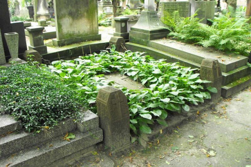 Zdjęcie grobu Tołtyżewscy (1)