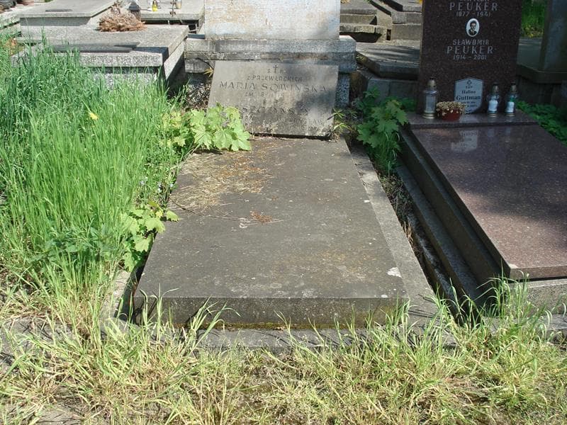 Zdjęcie grobu: Władysław Leszczyński