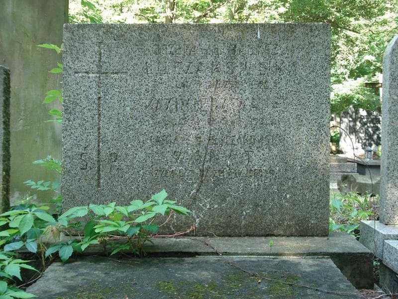 Zdjęcie grobu Maria Wanat (2)