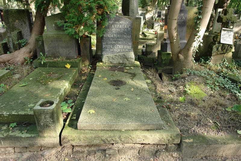 Zdjęcie grobu Henryk Czyżewski (1)