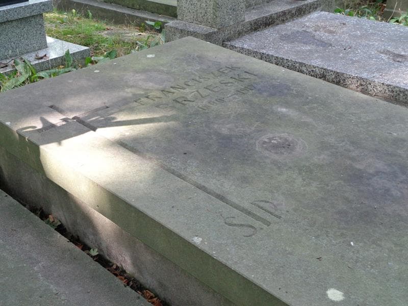 Zdjęcie grobu Franciszek Brzeski (2)