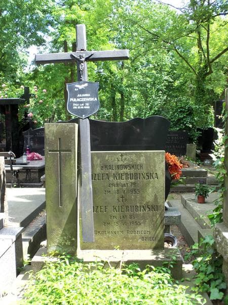 Zdjęcie grobu Julianna Pułaczewska (2)