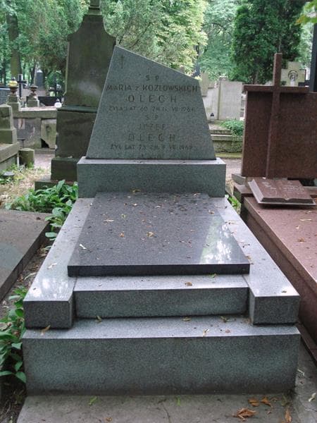 Zdjęcie grobu Józef Olech (1)