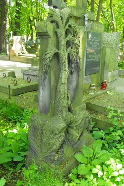 Zdjęcie grobu Marya Krzyżanowska (2)