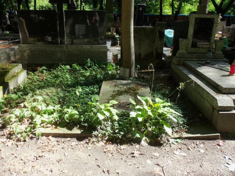 Zdjęcie grobu: Henryk Pilawitz