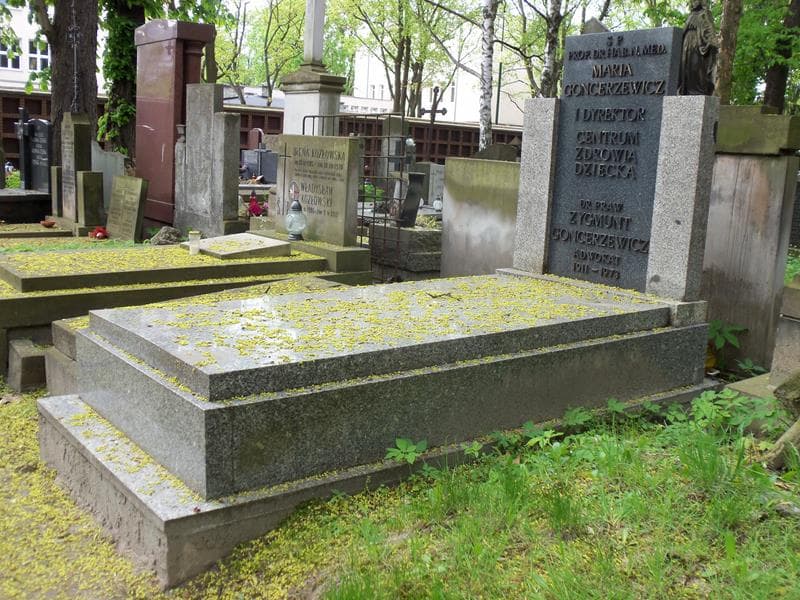 Zdjęcie grobu Zygmunt Goncerzewicz (1)