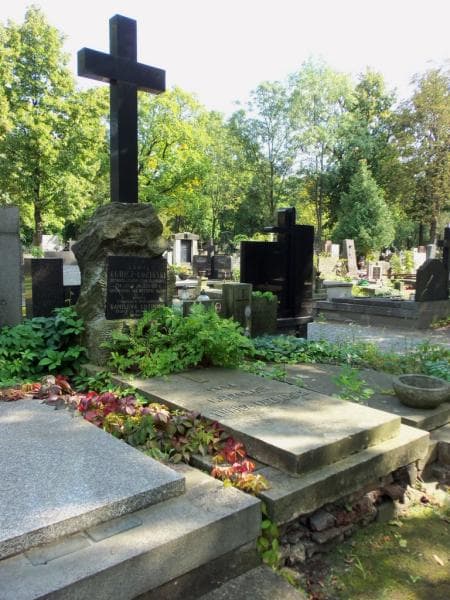 Zdjęcie grobu Kamil Lubicz-Łoziński (1)